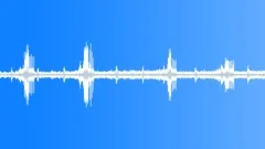 Birds and wind Sound Effect