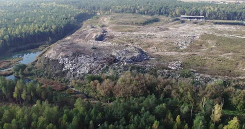 Birds are crows flying over a waste dump in the forest. Stock Footage 164464060