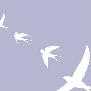 Birds are flying, on a blue background Stock Illustration