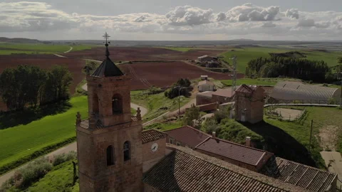 Birds around the bell tower Stock Footage 155005947