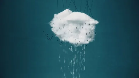 Birds Around Raining Cloud Stock Footage 74249613