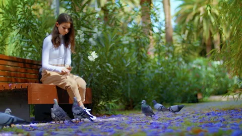 Birds on the background of fallen Jacaranda flowers. Video stock 147547324