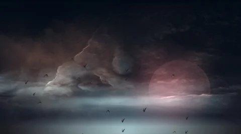 Birds on the background of the moon 2 Stock Footage 49626217