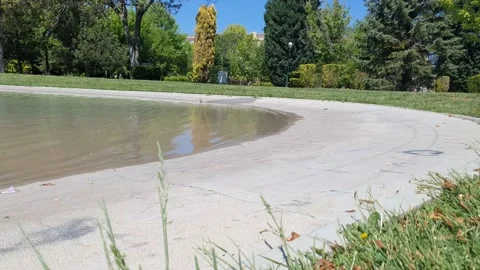 Birds bathing and drinking by the pool timelapse Stock Footage 194780981