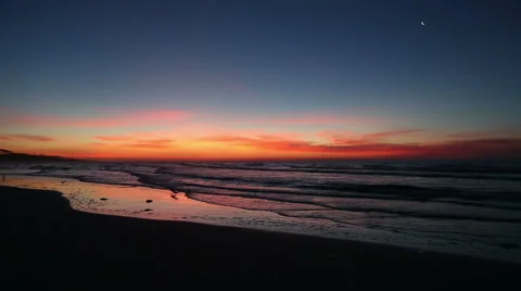 Birds at beach daybreak Video stock 49228434