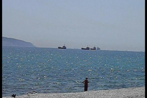 Birds on the beach Stock Footage 756827