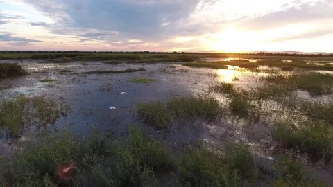 Birds beautiful orange sunset reflection lake nature Vladivostok Primorsky Drone Stock Footage