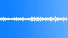 BIRDS, BELIZE Sound Effect