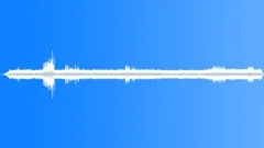 BIRDS, BELIZE Sound Effect