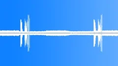 BIRDS, BELIZE Sound Effect