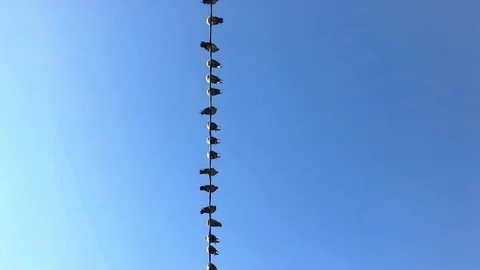 Birds on blue sky background. doves on the background of blue sky. 4 Stock-Footage 98400557