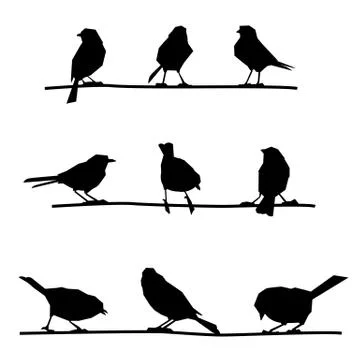 Birds on branches. Stock Illustration