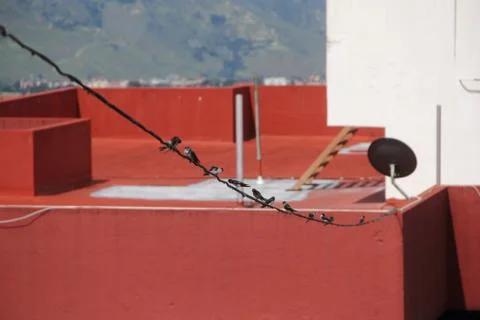Birds on Cable Wire Stockfoto's
