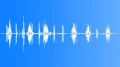 Birds Chaffinch SingingSound Effect