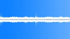 Birds Chirp in the City Park (Looping)Sound Effect
