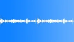Birds Chirp in the City Park (Looping) denoised 02Sound Effect