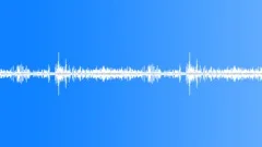 Birds Chirp in the City Park (Looping) denoised Sound Effect