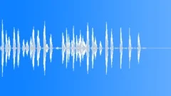 Birds Chirping 3 Sound Effect