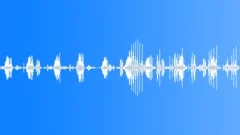 Birds Chirping And Singing In Forest BeautifulSound Effect
