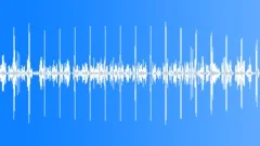 Birds Chirping In The ForestSound Effect