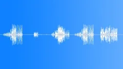 Birds Chirping Sound Effect