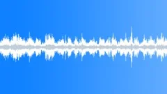 Birds chirping Sound Effect