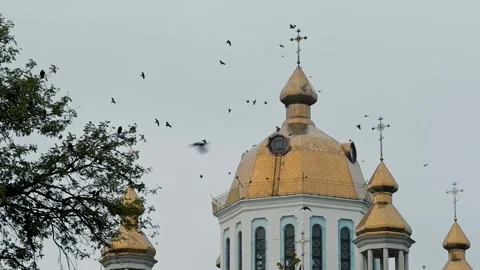 Birds circle around the dome of the temple. Tample against sky with birds c.. Stock Footage 287917953
