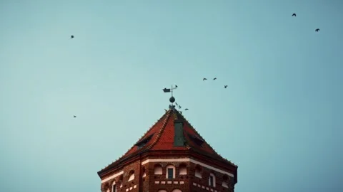 Birds circle a red brick tower against a clear blue sky Stock Footage 301125445