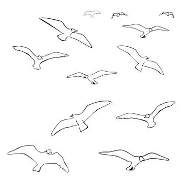 Birds circle in the sky Stock Illustration