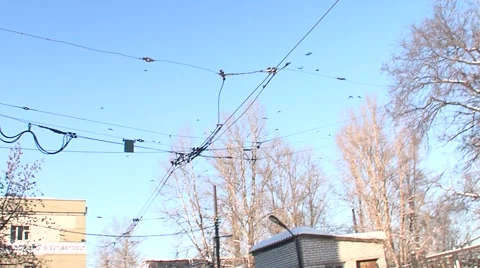 Birds in the city.m2t Stock Footage 5164126