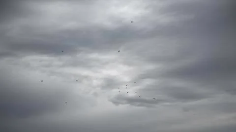 Birds in a cloud Stock Photos