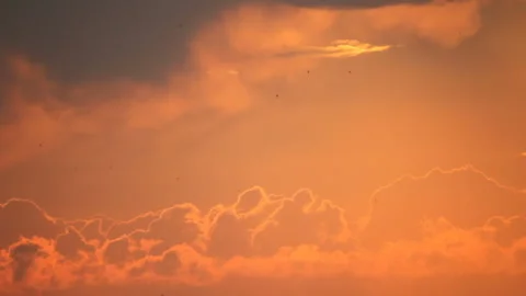 Birds in clouds after storm Video stock 125135682