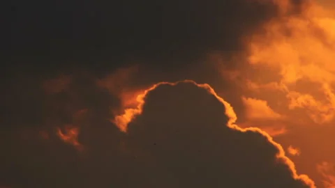 Birds in cloudy sky Stock Footage 90001097