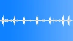 Birds Country 1Sound Effect