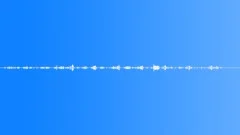 BIRDS, COUNTRY AMBIENCE Sound Effect