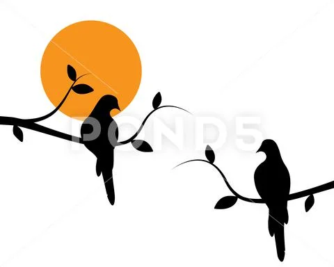 Birds couple silhouette on branch on sunset, Vector. Wall decals Stock Illustration