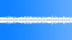 Birds crickets light wind Sound Effect