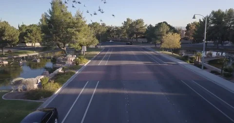 Birds Crossing Stock Footage 121981439