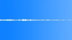 Birds Cry in the SkySound Effect