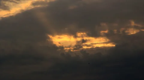 Birds in dark cloud sky Stock-Footage 49689854