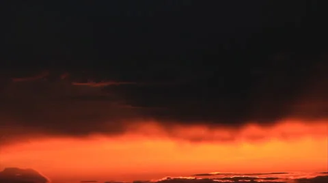 Birds on dark sunset sky Video stock 36742968