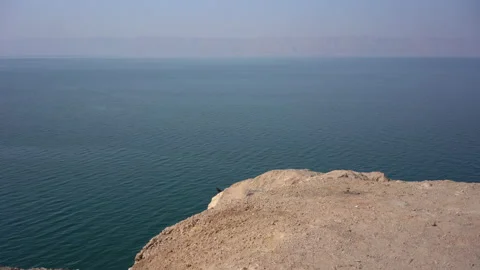 Birds on Dead Sea Stock Footage 230098326