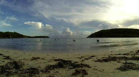 Birds dive for fish in the USVI Stock Footage 41515185
