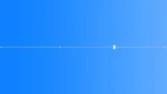 Birds, dogs, morning in the village - ambient, background loopSound Effect