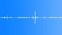 Birds, dogs, morning in the village - ambient, denoised loop 02Sound Effect