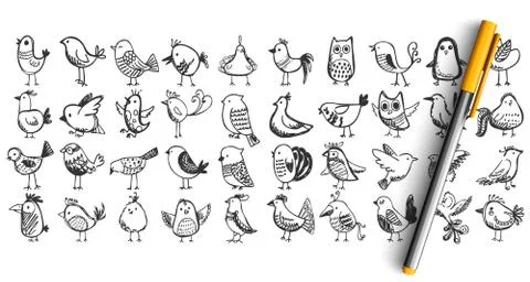 Birds doodle set Stock Illustration
