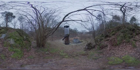 Birds Eating From Bird Feeder in Tree - 360 VR Stock Footage 101730051