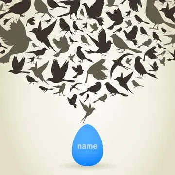 Birds from egg Stock Photos