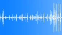 Birds Emu Single Vocal Calls Drums Throaty Low End Clatter Nice Rumble Sub Soni Sound Effect