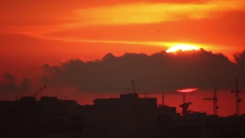 Birds in evening construction town Stock-Footage 73891006